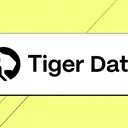 Tiger Data