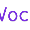 Vocara